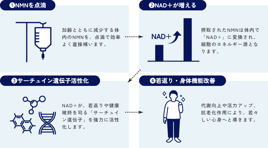 NMN点滴療法